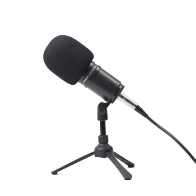zoom-mic-3